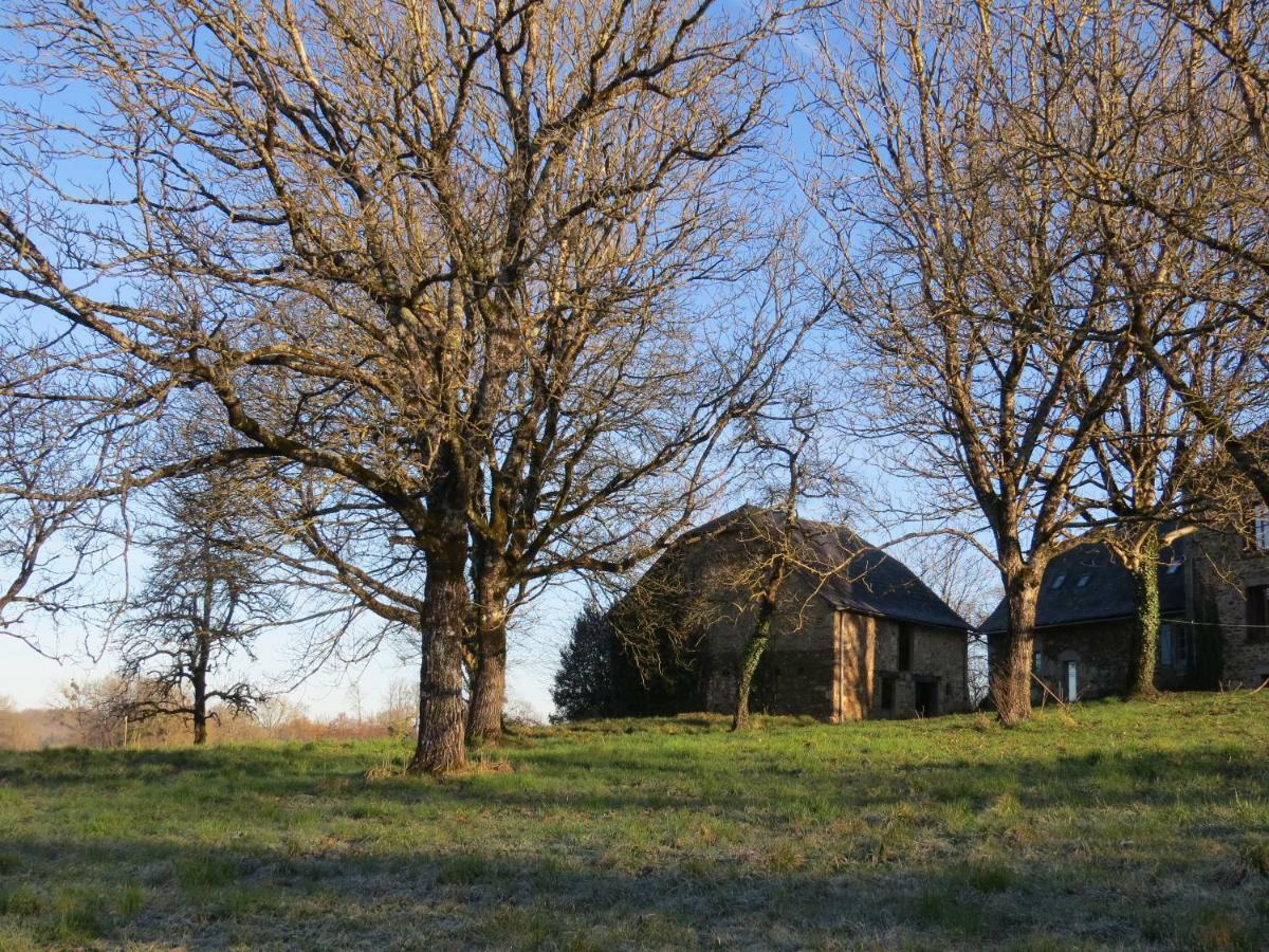 Domaine De La Clauzade Bed & Breakfast Saint-Germain-les-Vergnes Exterior photo